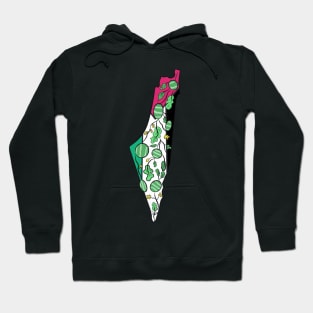 FREE PALESTINA WATERMELON Hoodie